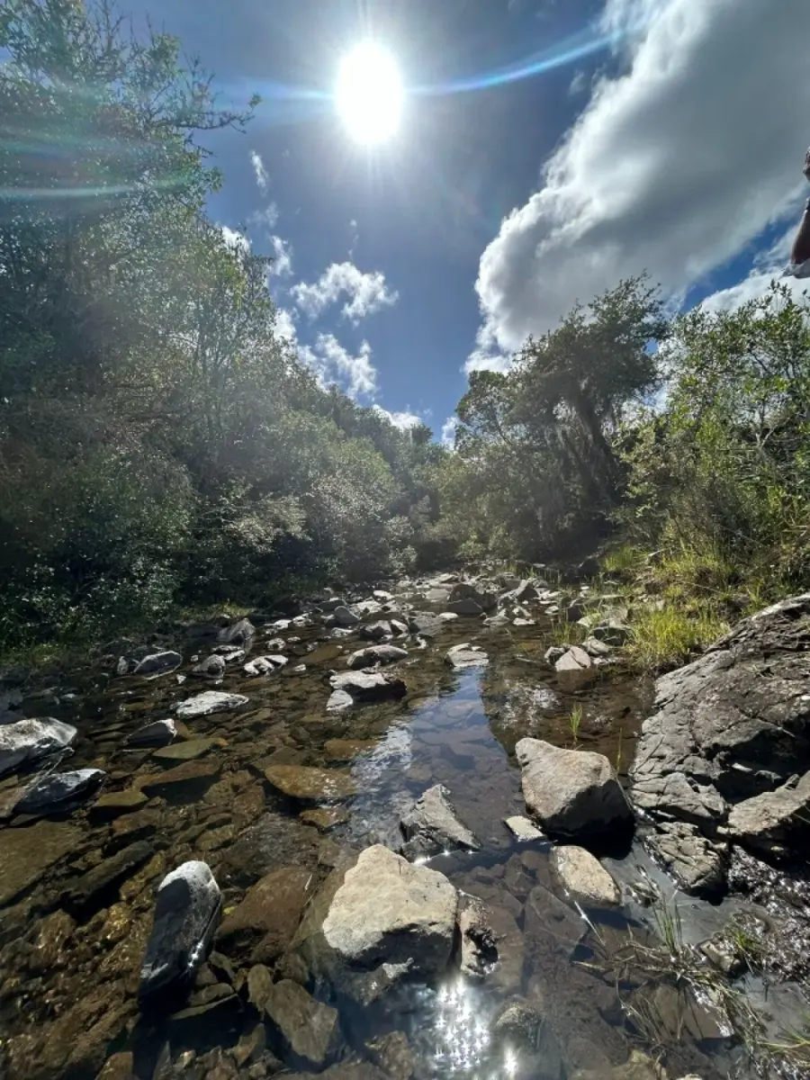 Water runs through it