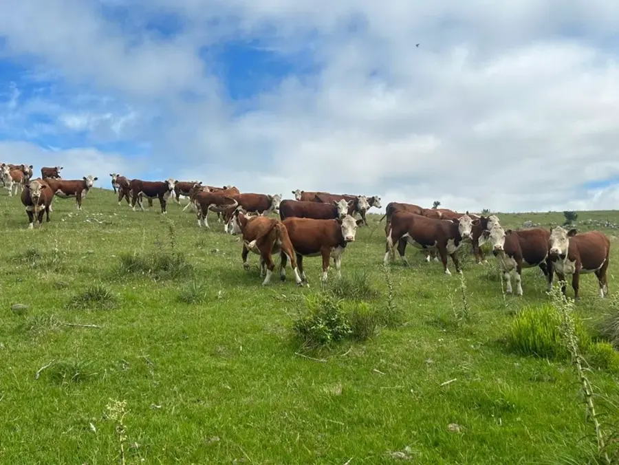 Land that feeds you