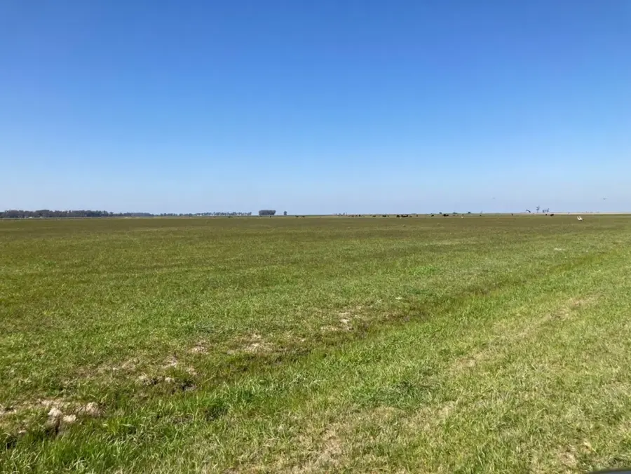 Land that works while you wait